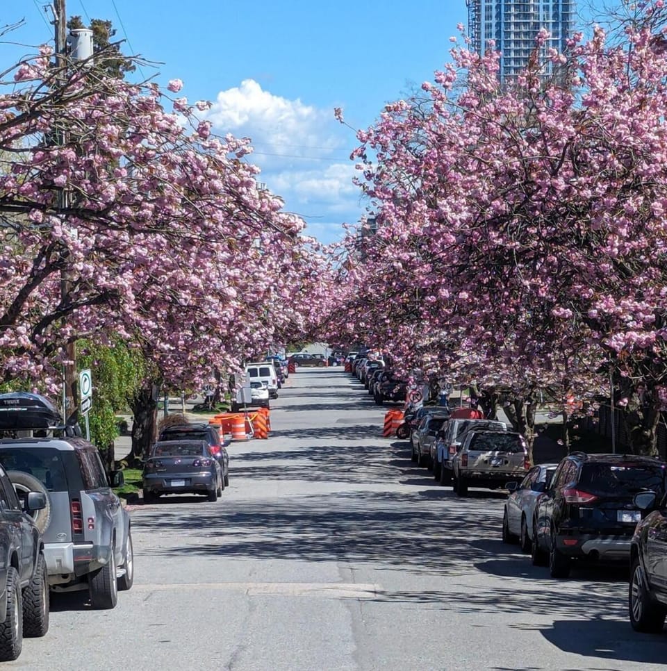 Vancouver Condo for FIFA World Cup Apartment in Vancouver