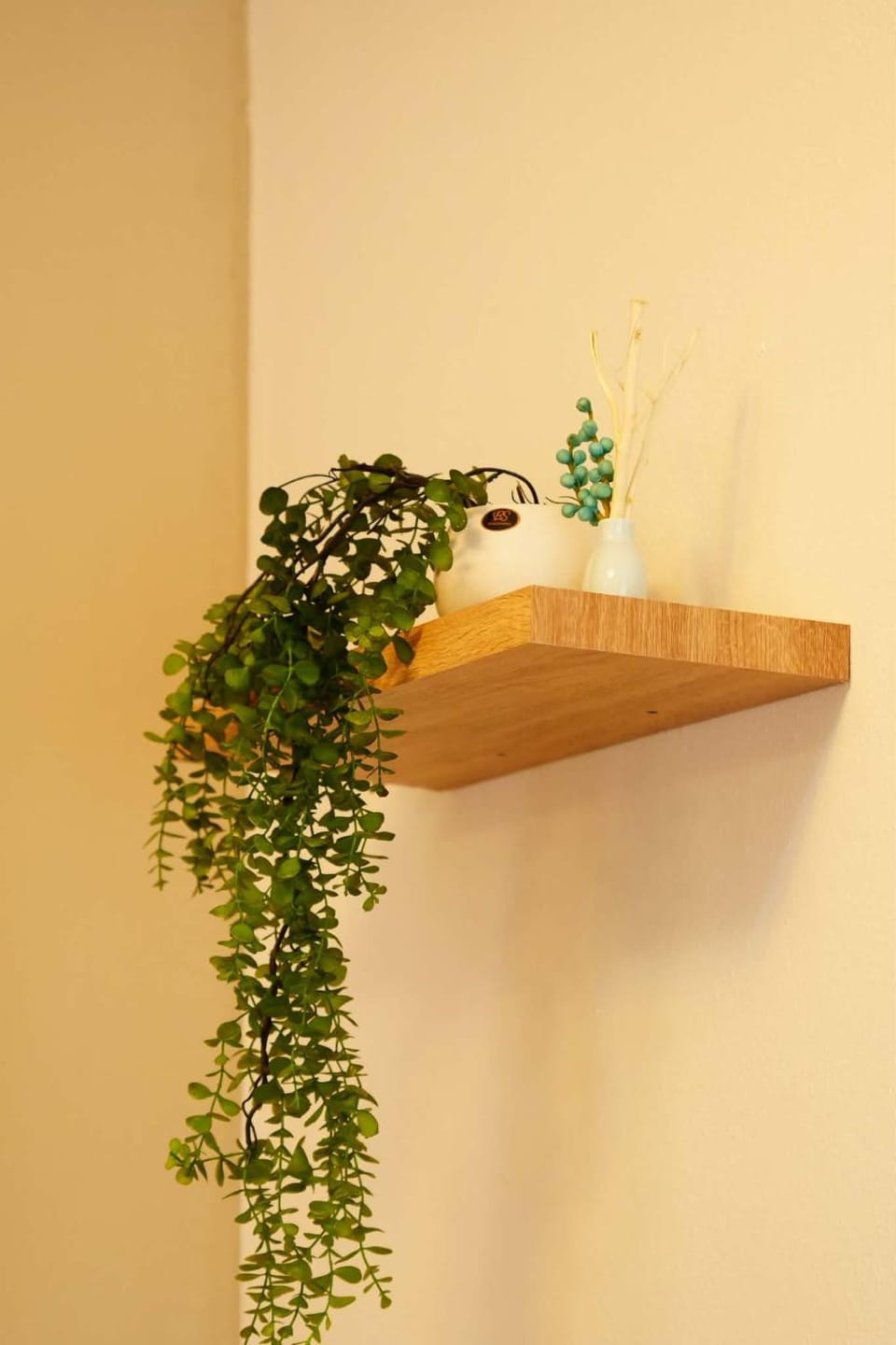 Era Cozy Stay Prishtina Apartment in Serbia