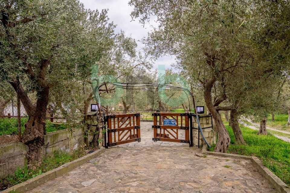 Spring, Day, Natural landscape, Garden