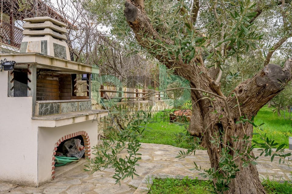 Spring, Day, Natural landscape, Garden