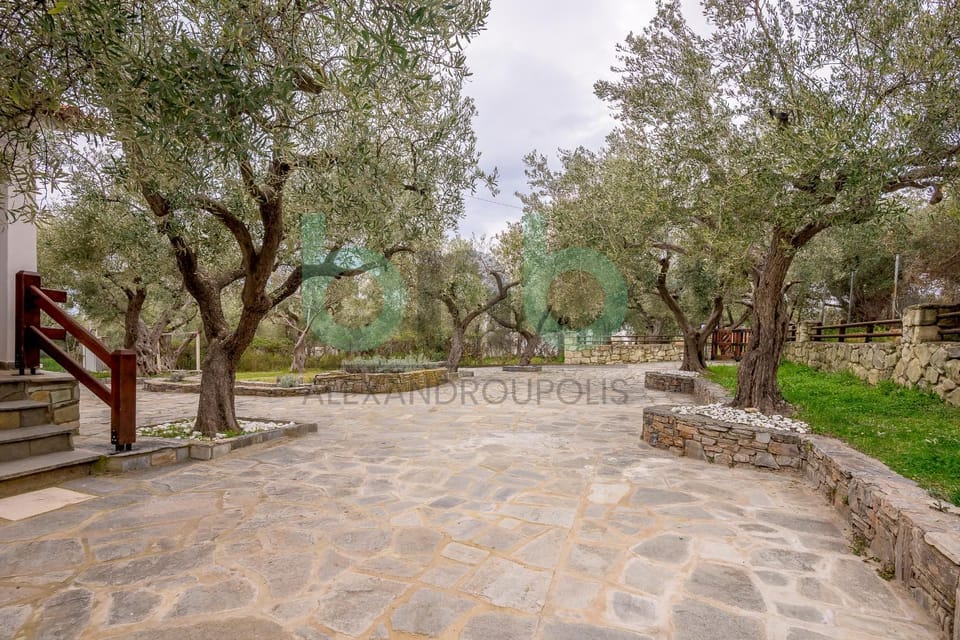 Spring, Day, Natural landscape, Garden