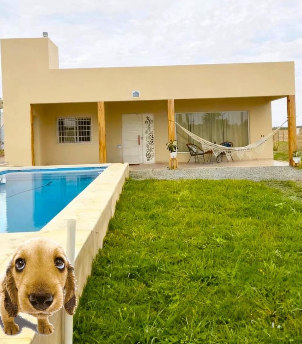 Garden, Swimming pool