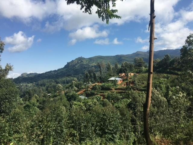 Mountain view