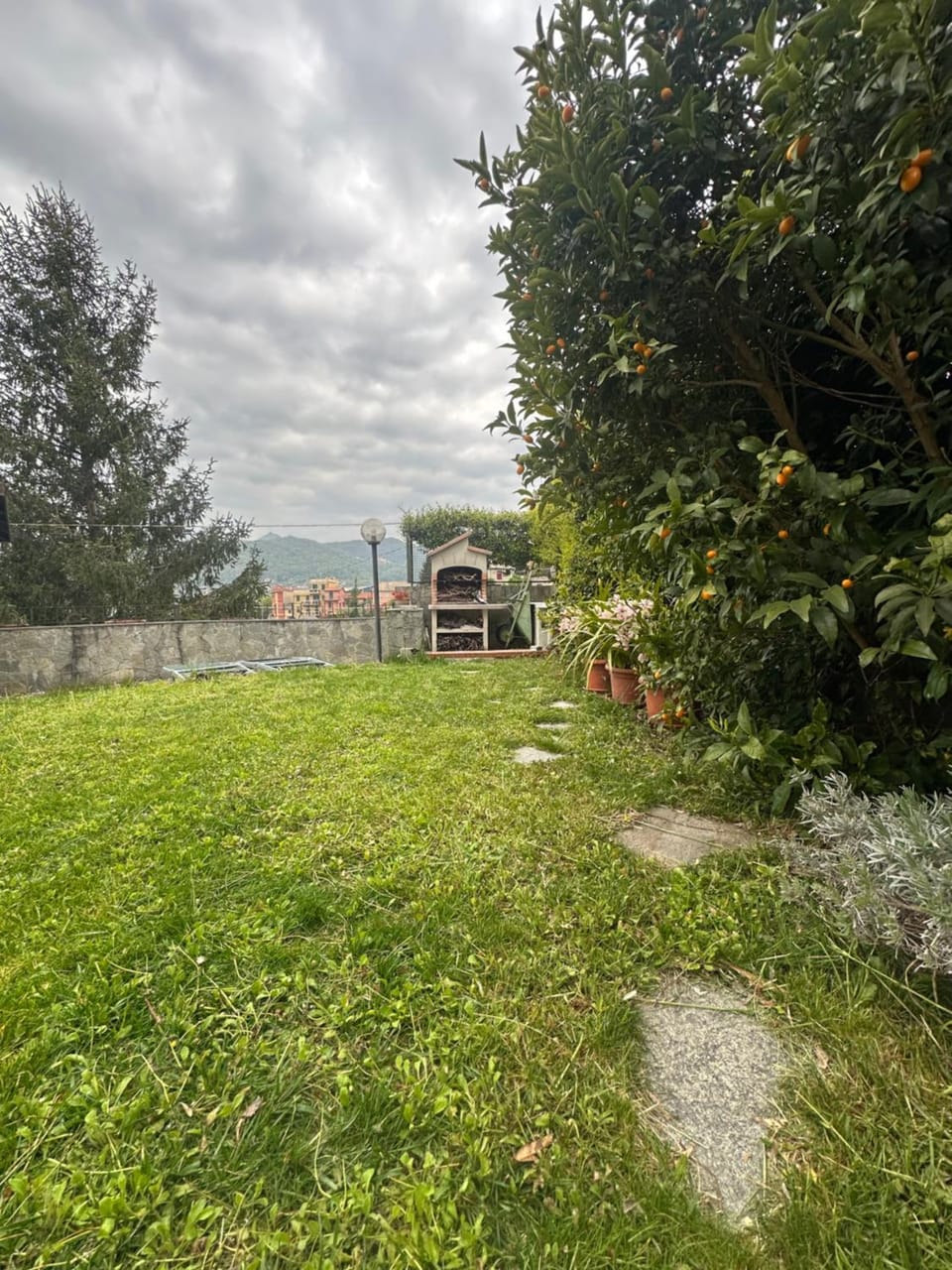 Natural landscape, Garden, Garden view