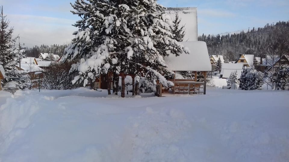 Natural landscape, Winter