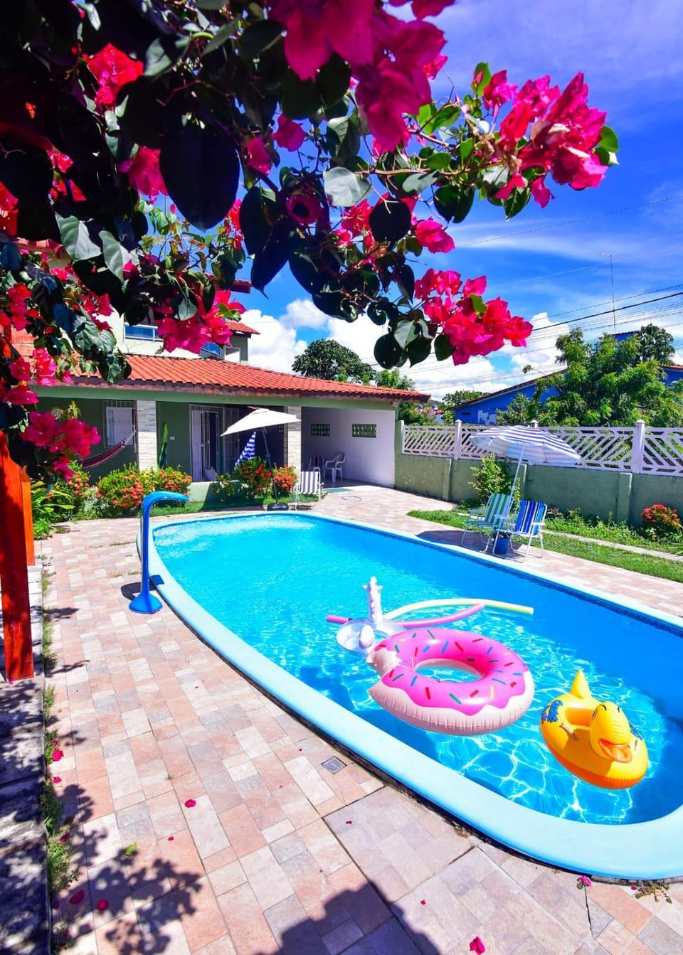 Garden, Swimming pool, sunbed