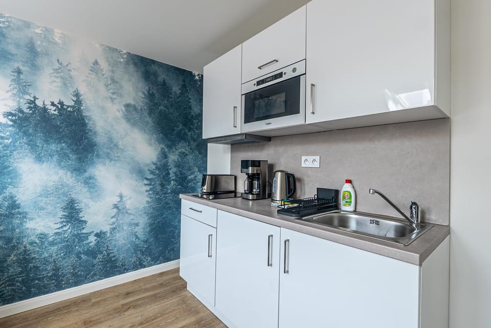 Kitchen or kitchenette
