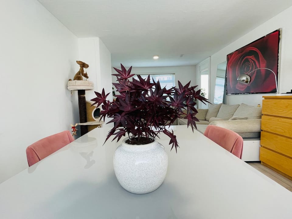 3 bed garden house direct connection to airport n train station Apartment in Edinburgh