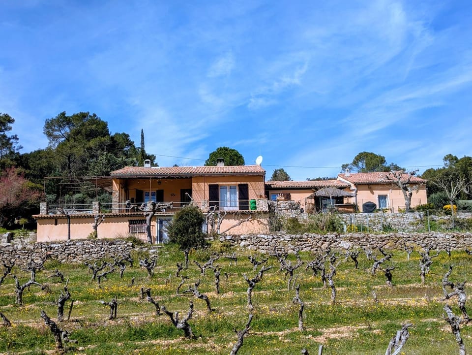 Property building, Garden, Garden view