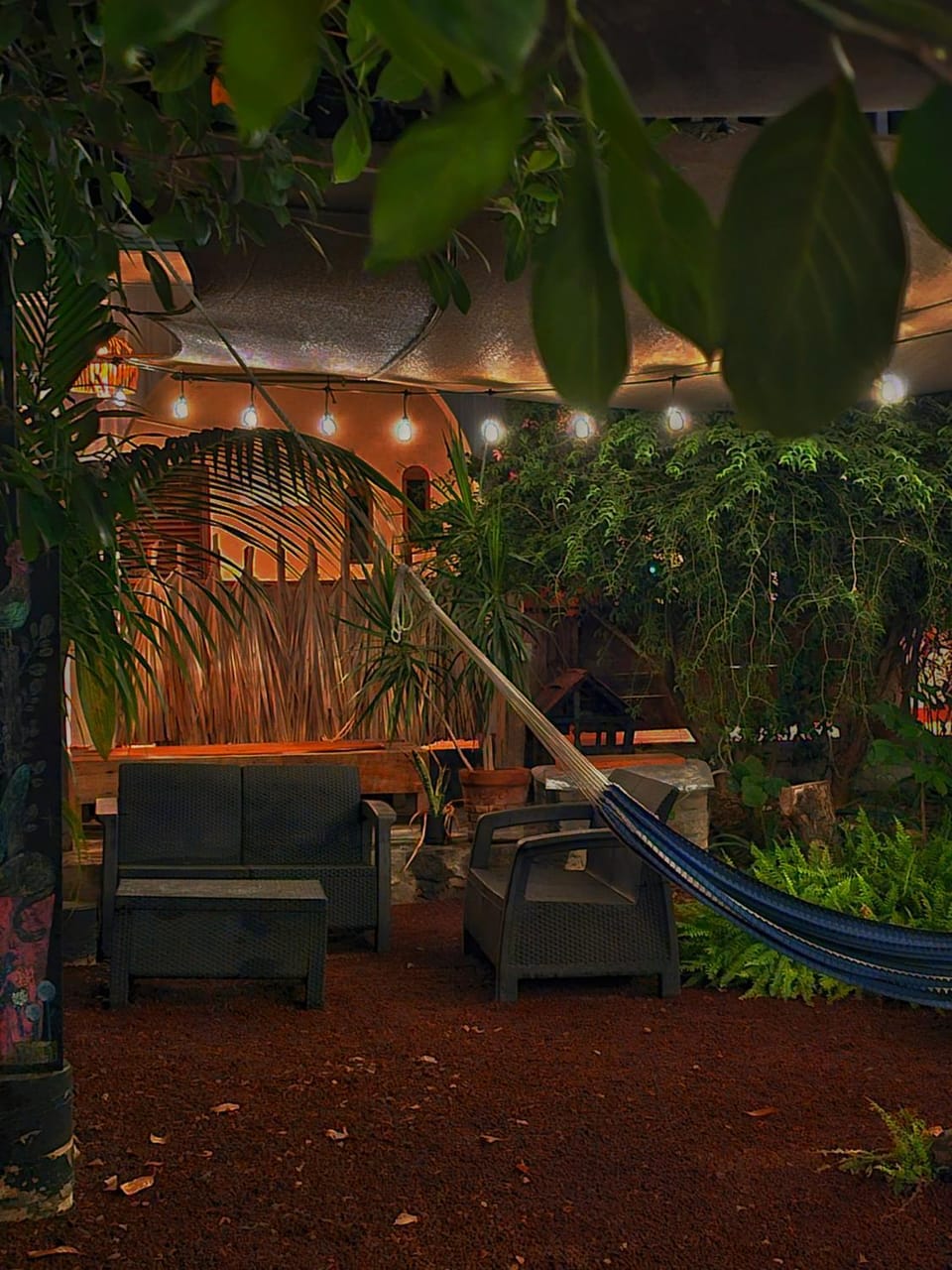Night, Garden, Garden view