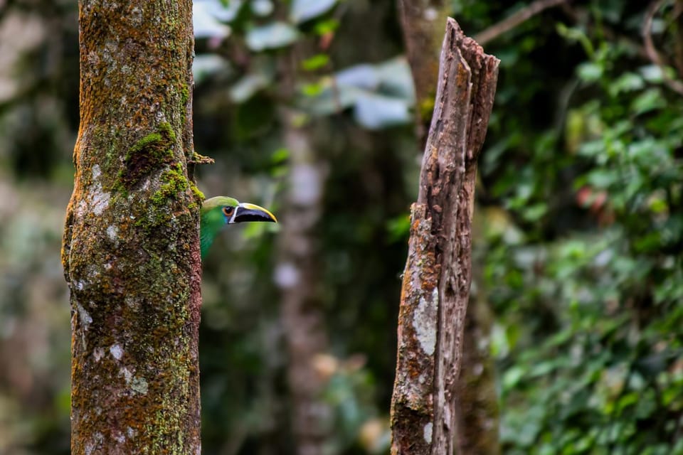 Bosque Hondo Ecoliving House in Antioquia
