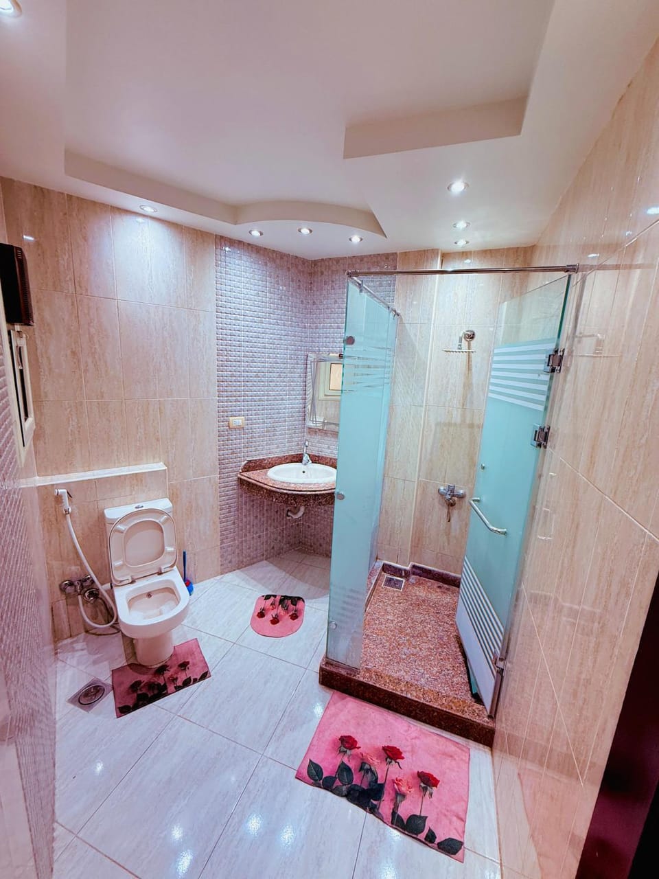 Luxury apartment Miami Sea View Apartment in Alexandria