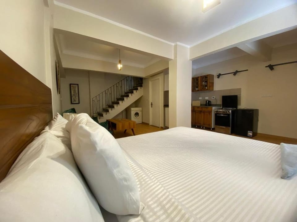 Maadi Modern Private Studio 5 Apartment in Cairo Governorate