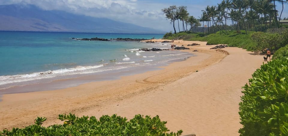 Wailea Elua #102 Beautifully Remodeled Ocean View short walk to beach, shops Apartment in Wailea