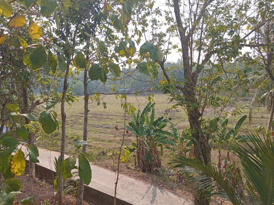 Paripally house Villa in Kerala