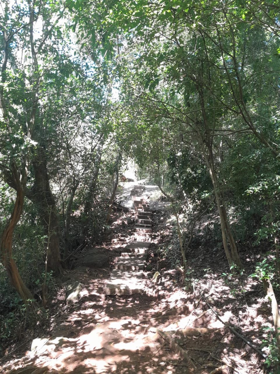 Swastha Retreat Farm Stay in Sri Lanka