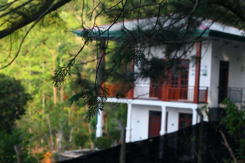 Property building, Natural landscape