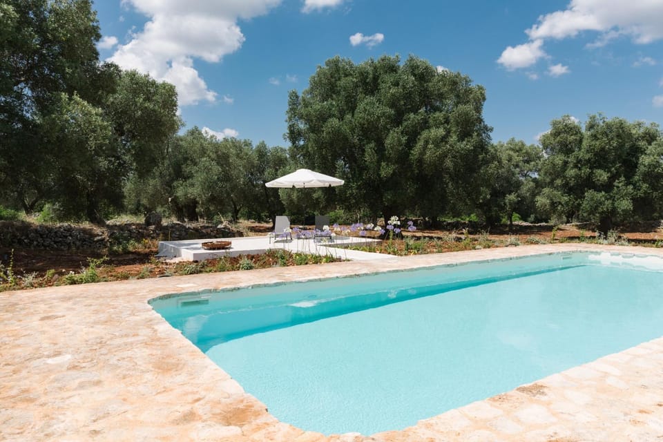 Swimming pool, sunbed