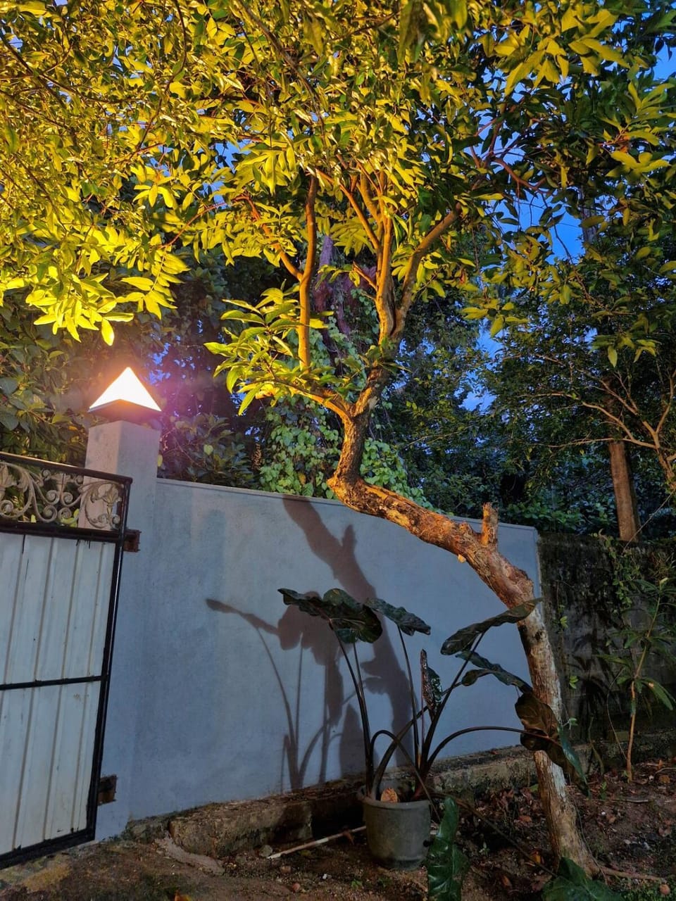private apartment at Hikkaduwa with fiber wi-fi Apartment in Hikkaduwa