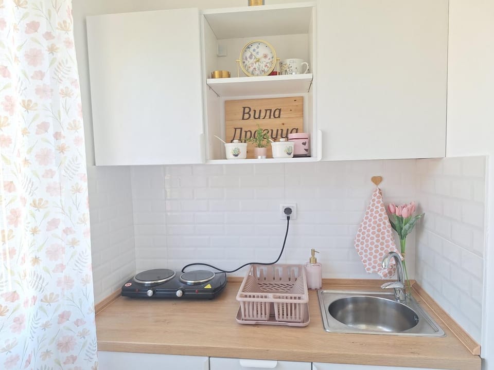 Vila Dragica Apartment in Serbia