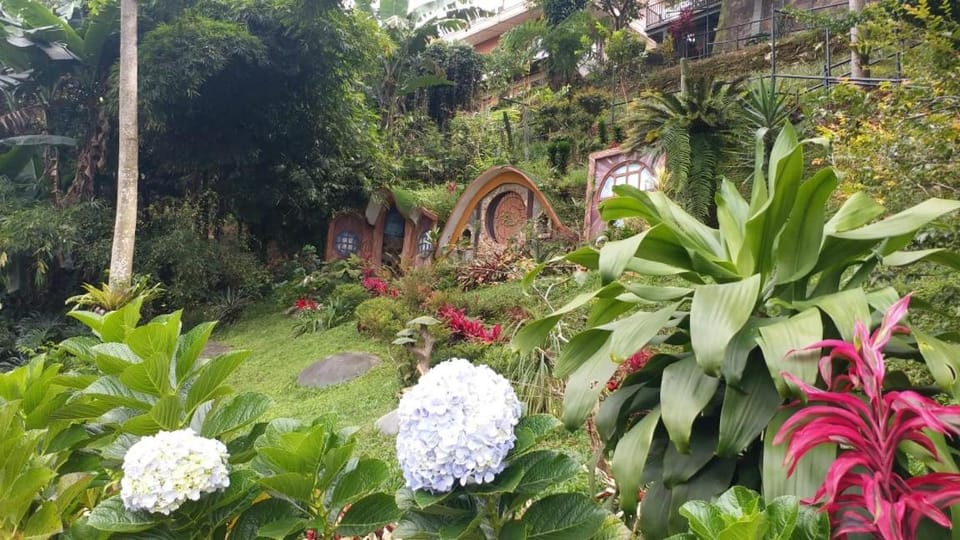 Natural landscape, Children play ground, Garden view