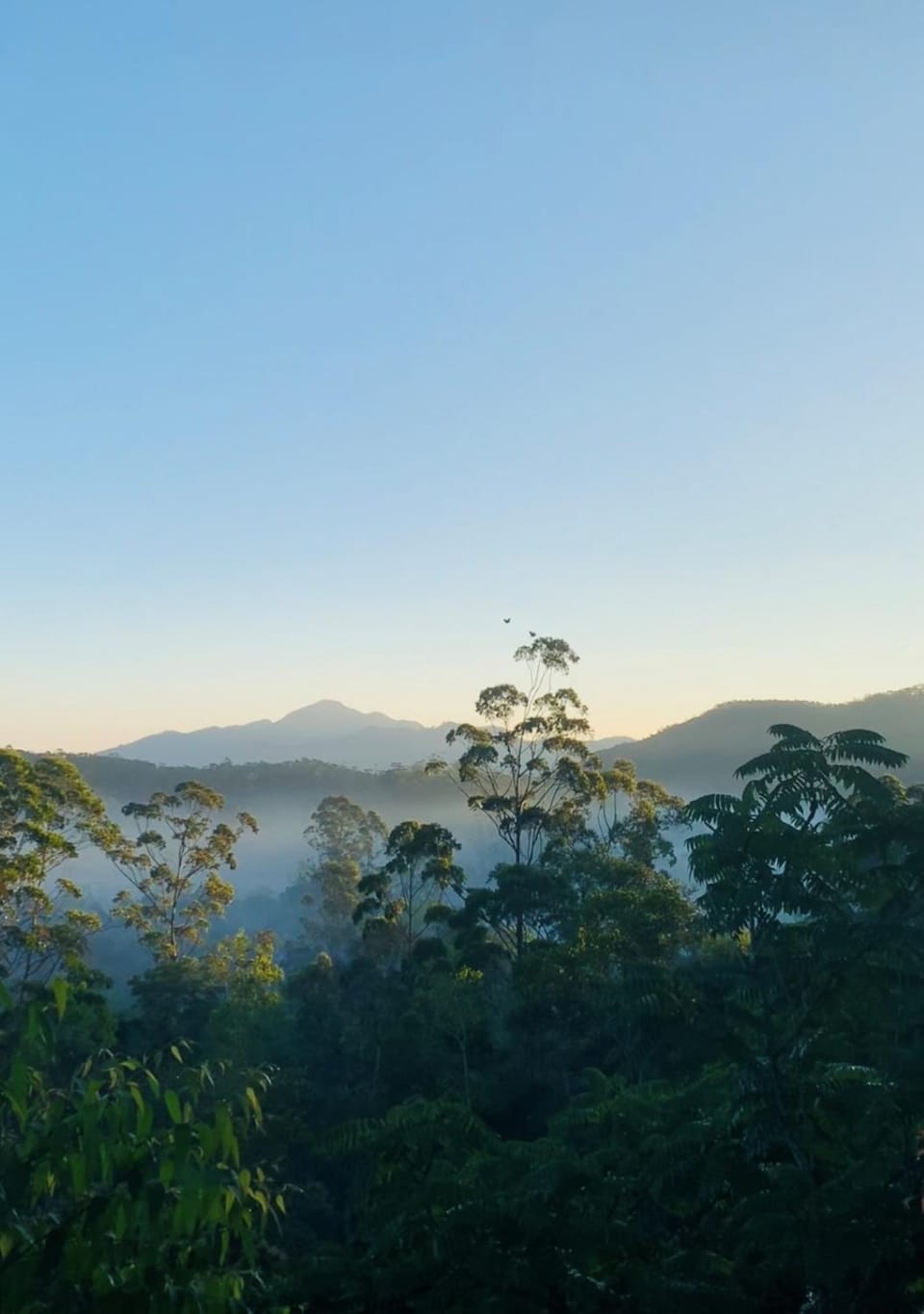 Skyline Haven Ella Cabana Nature lodge in Uva Province, Sri Lanka
