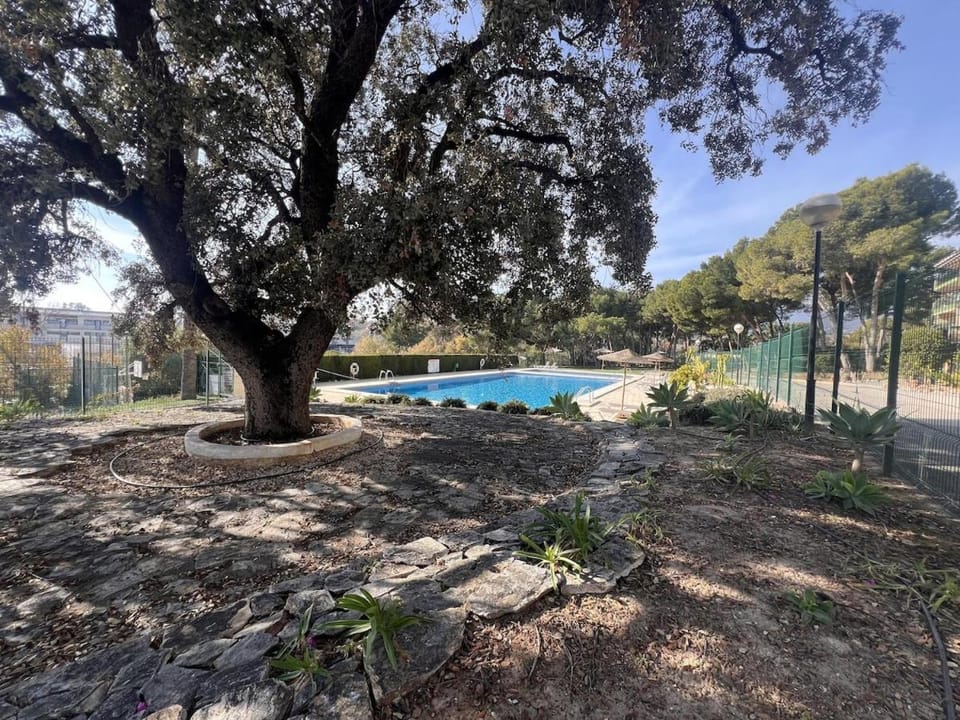 Garden, Swimming pool