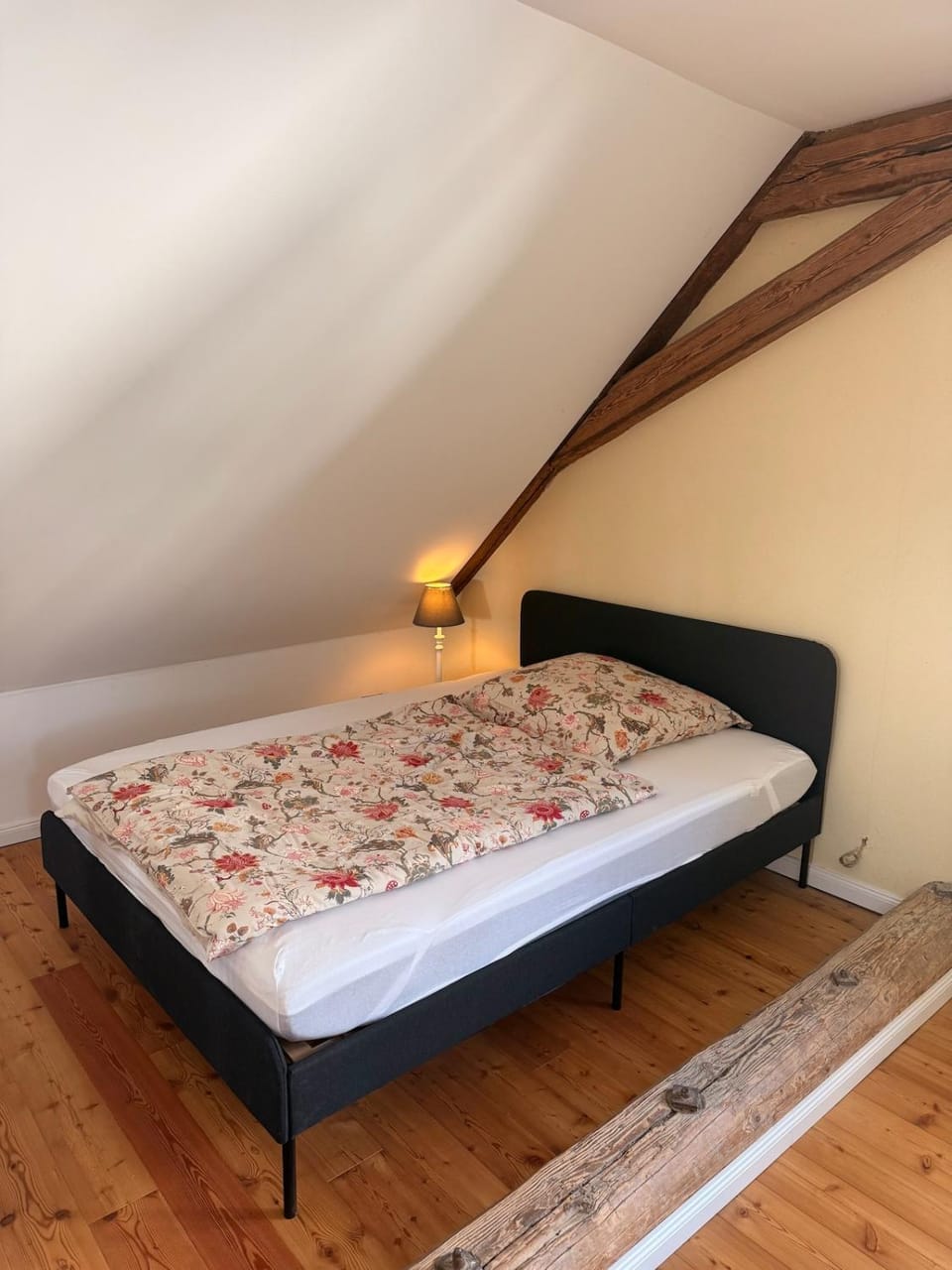 Dachstudio in tierfreundlicher Hofreite mit Poolnutzung Apartment in Mainz-Bingen