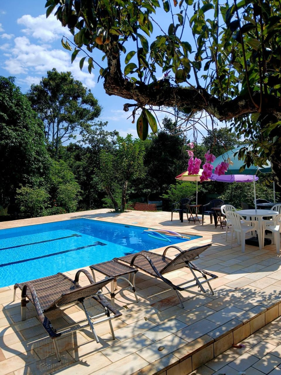 Pool view, Swimming pool, sunbed