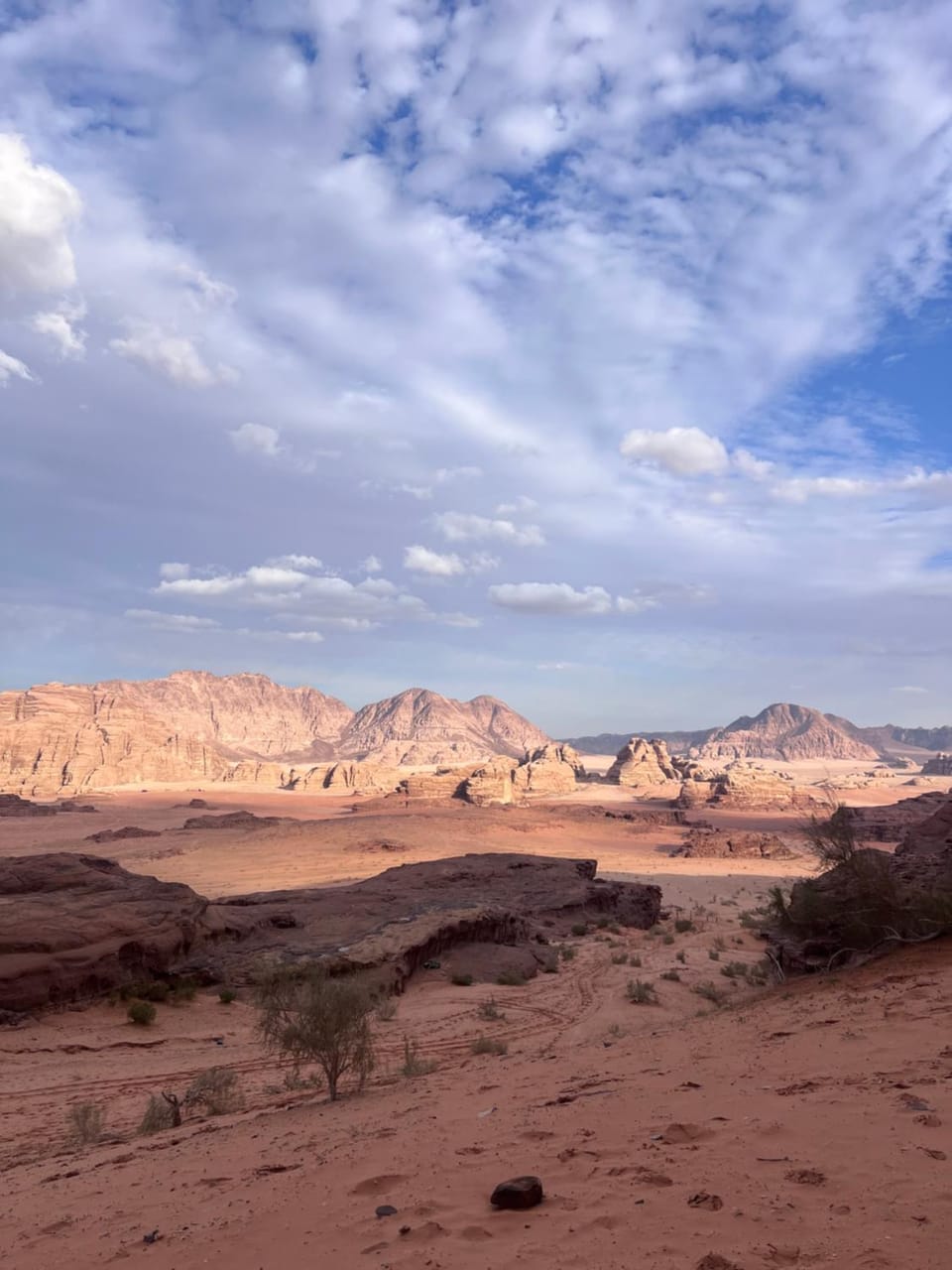Wadi rum magical nights Hotel in South District