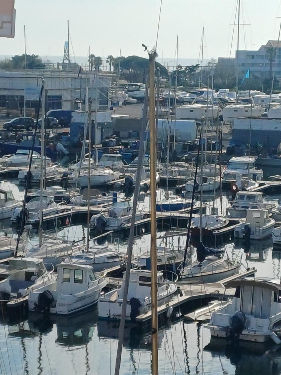 Le goéland Apartment in Leucate