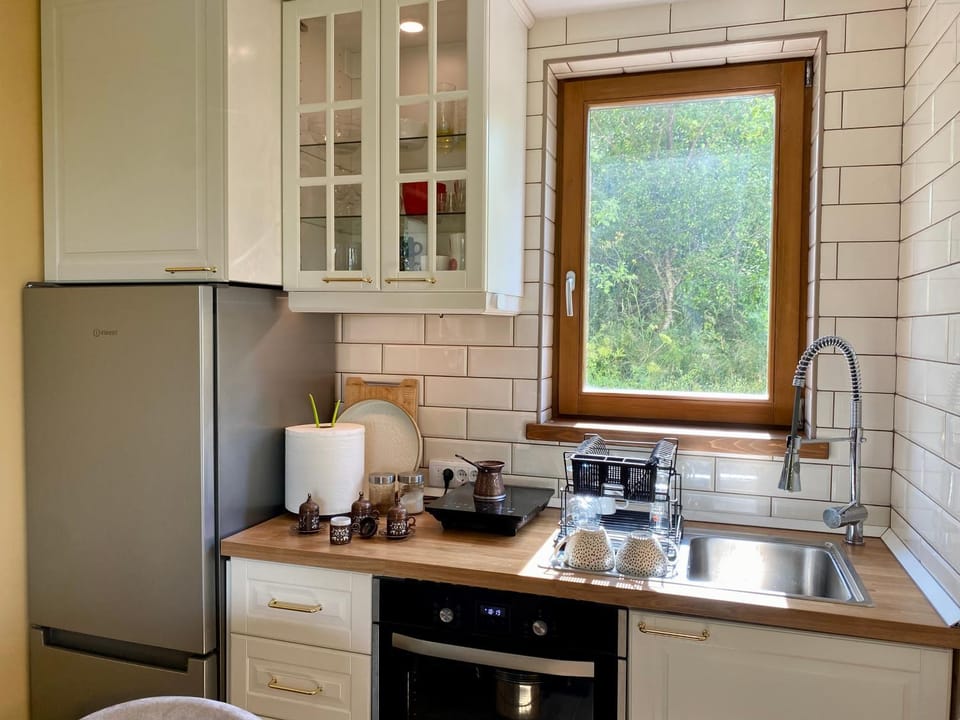 Vila Vlasinski mir Apartment in Serbia
