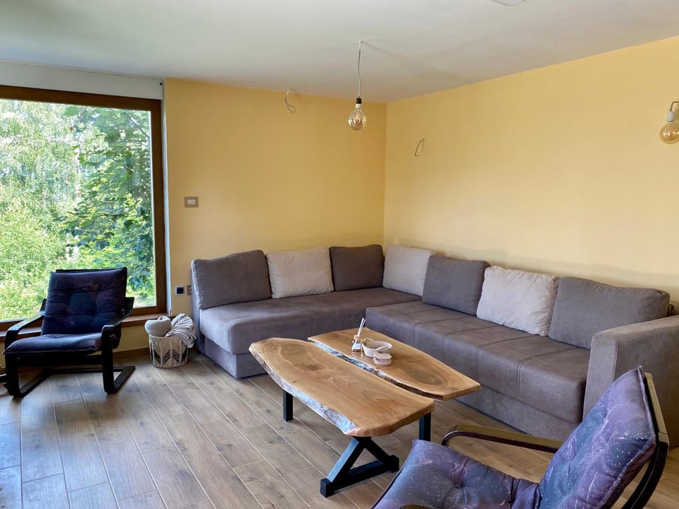 Vila Vlasinski mir Apartment in Serbia