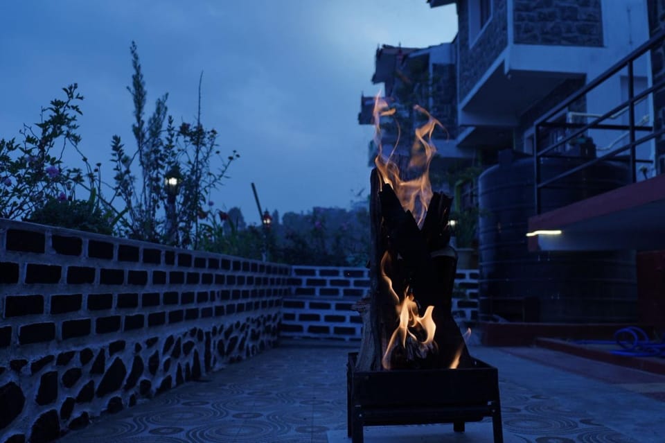 Night, BBQ facilities