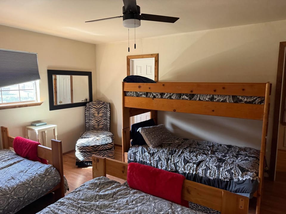 Bed, Photo of the whole room, Bedroom, bunk bed