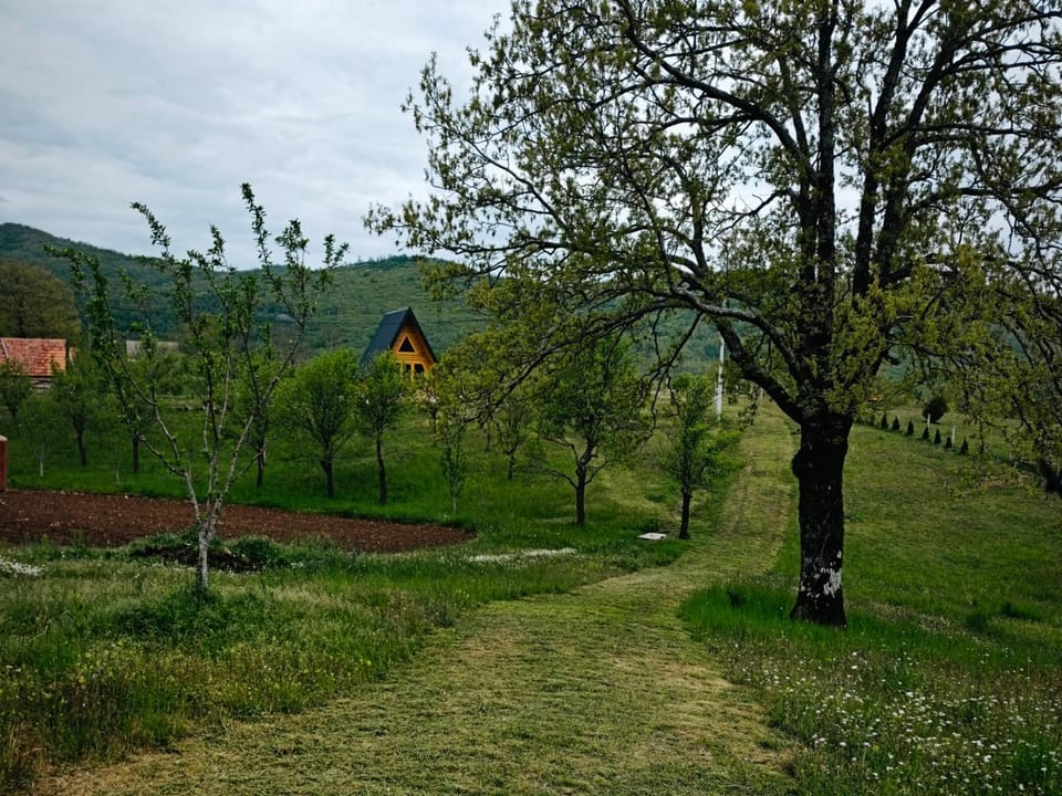 Diva House House in Montenegro