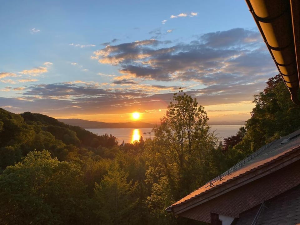 Lake view