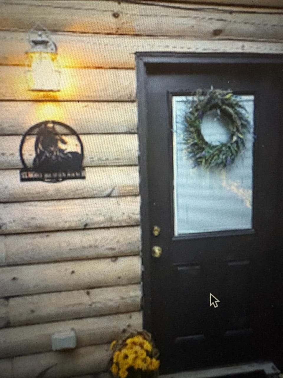 OMG! CABIN on Horse Ranch w Mtn Views-Pet Friendly Cabin in Brushy Fork