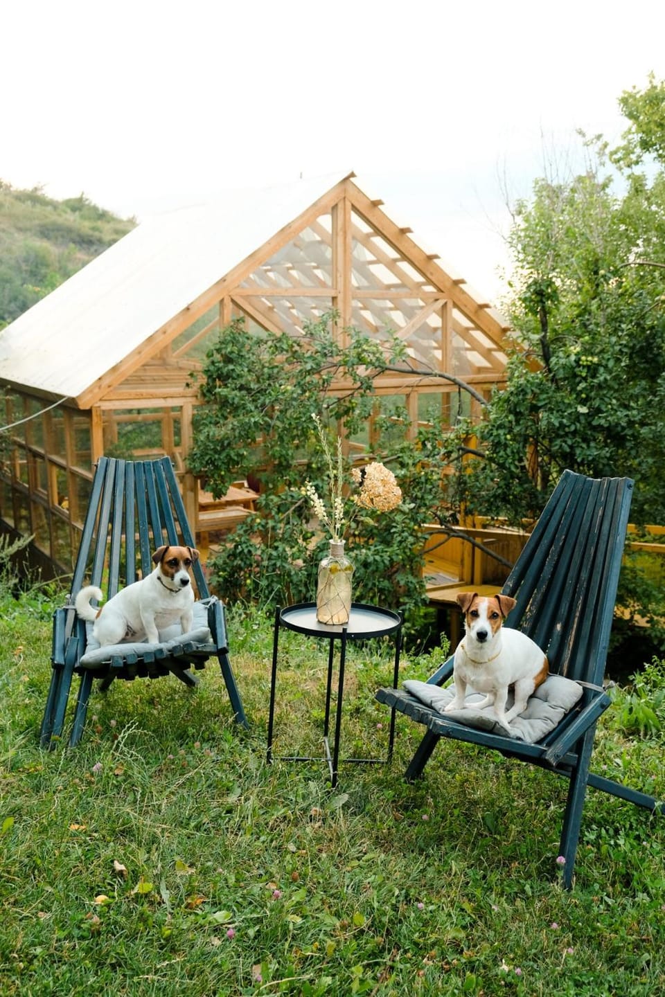 Communal lounge/ TV room, Garden, Pets