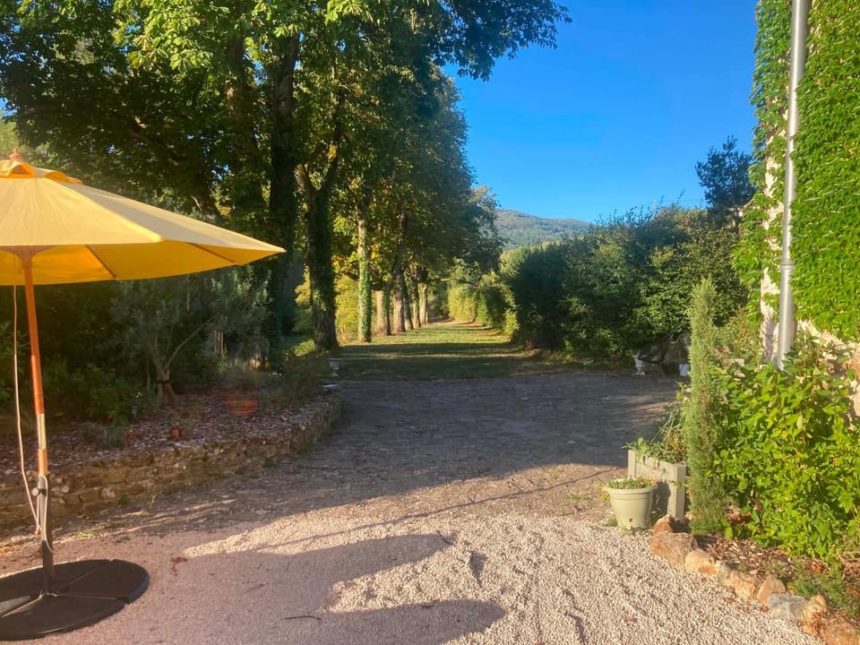 Garden view
