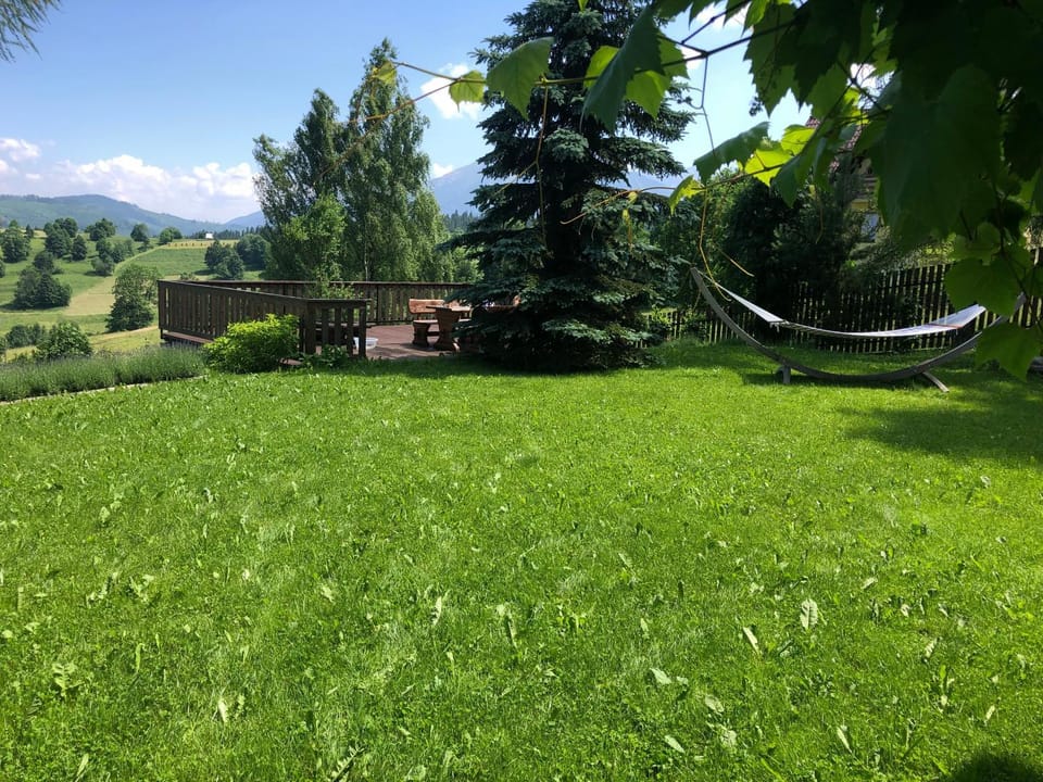 Natural landscape, Garden, Garden, Mountain view, Mountain view