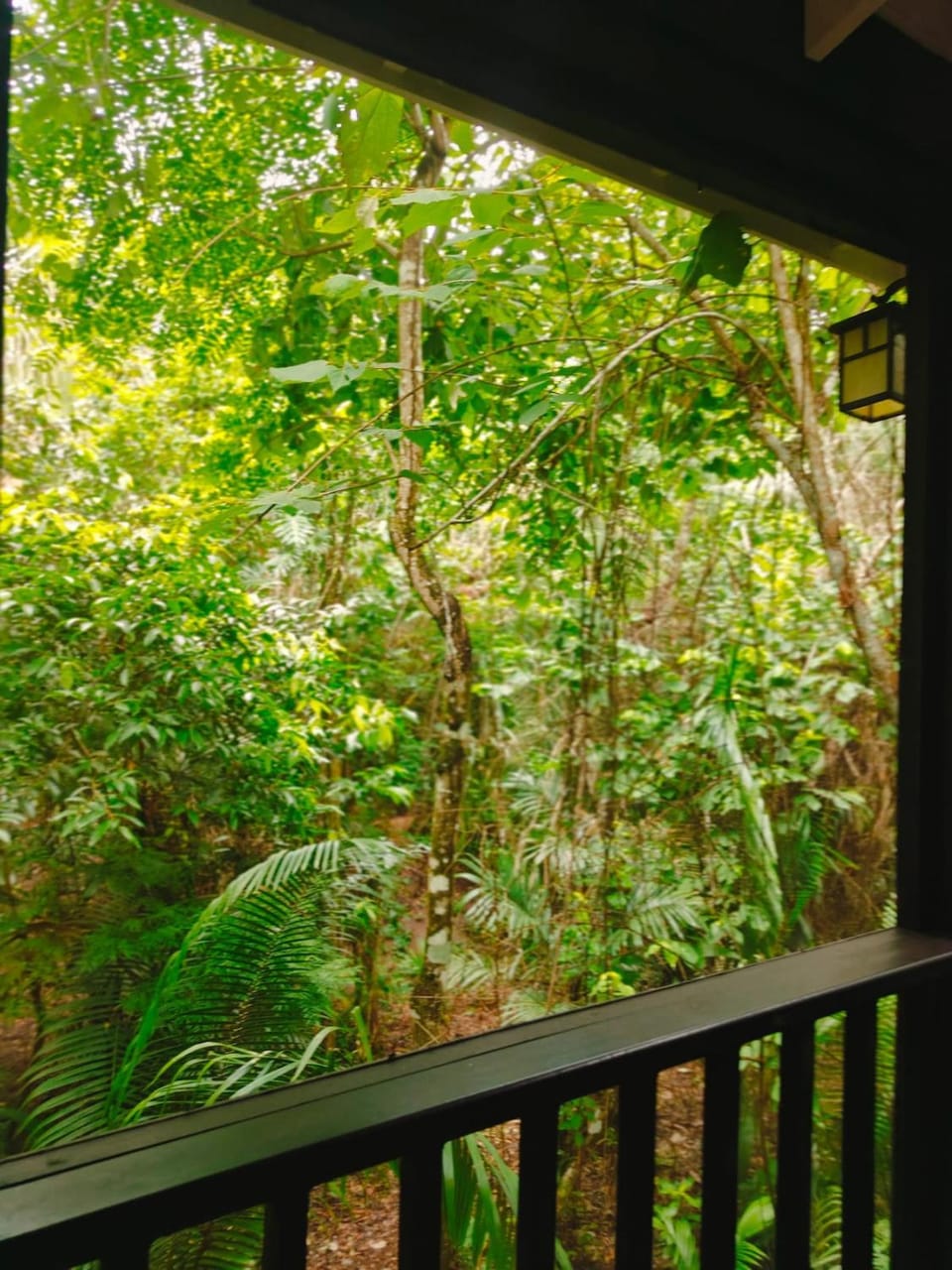 Enchanted Jungle Treehouse House in Cayo District