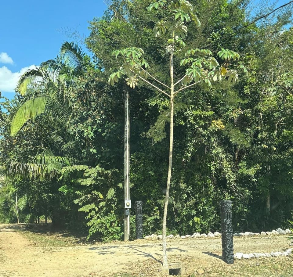 The Gathering Place House in Cayo District