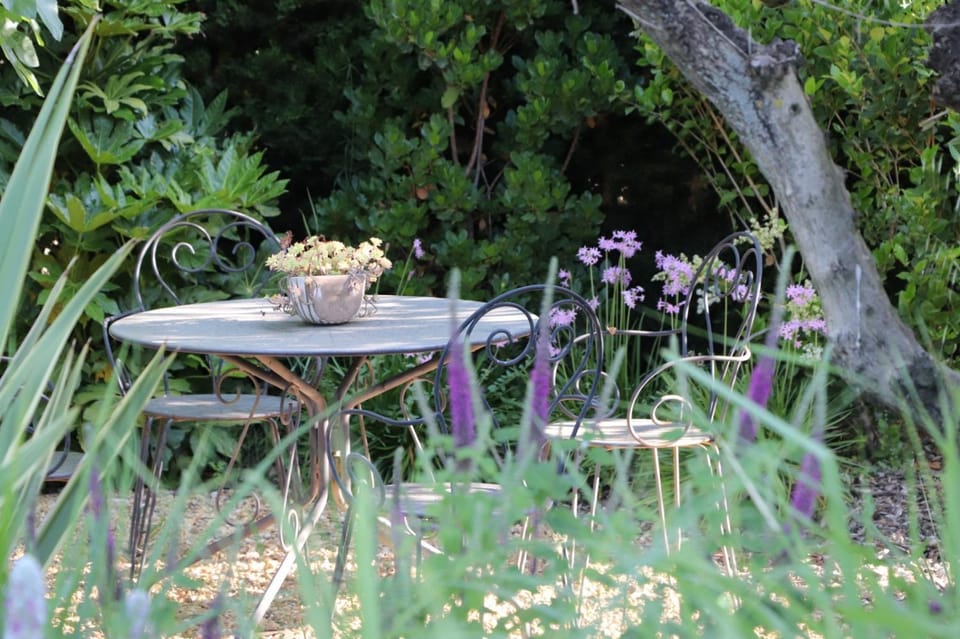Spring, Garden, Garden, Balcony/Terrace, Dining area
