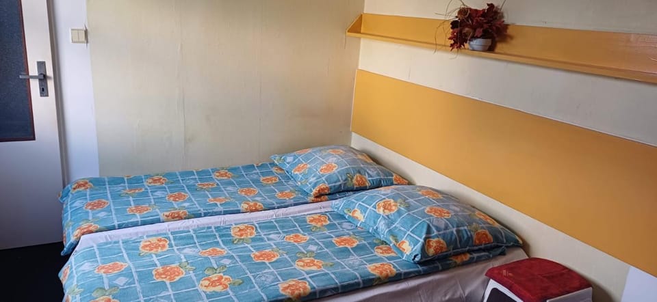 Penzion Mirja Bed and Breakfast in Prague