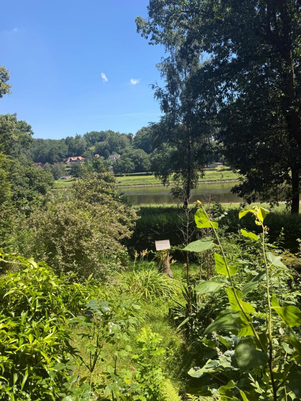 Campingurlaub mit Blick auf die Elbe Campground/ 
RV Resort in Sächsische Schweiz-Osterzgebirge