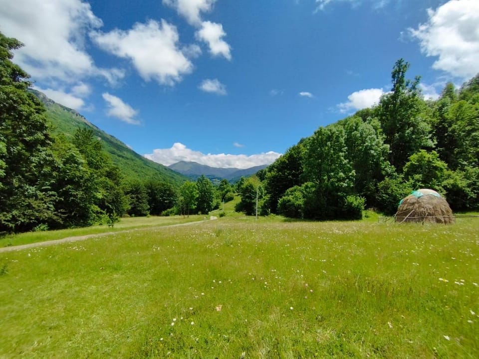 Zen Mont Chalet - Tara House in Montenegro