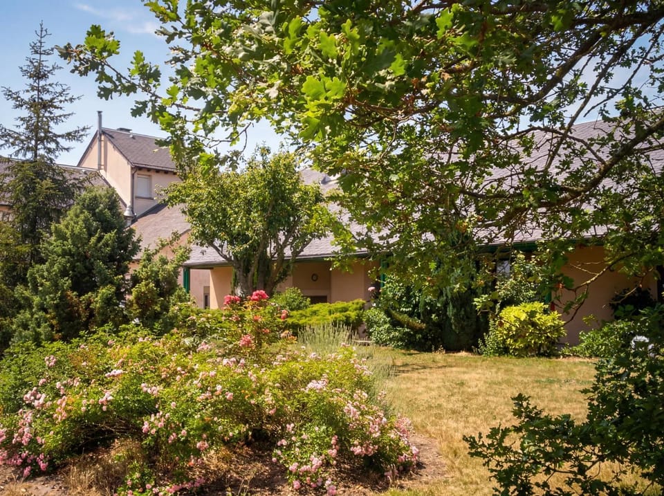 Spring, Day, Natural landscape, Garden, Garden view