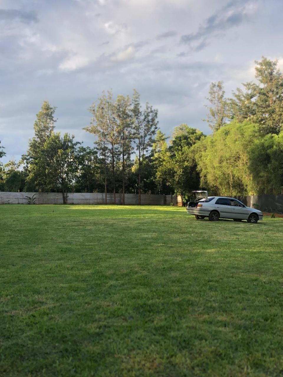 Natural landscape, Garden, Garden view
