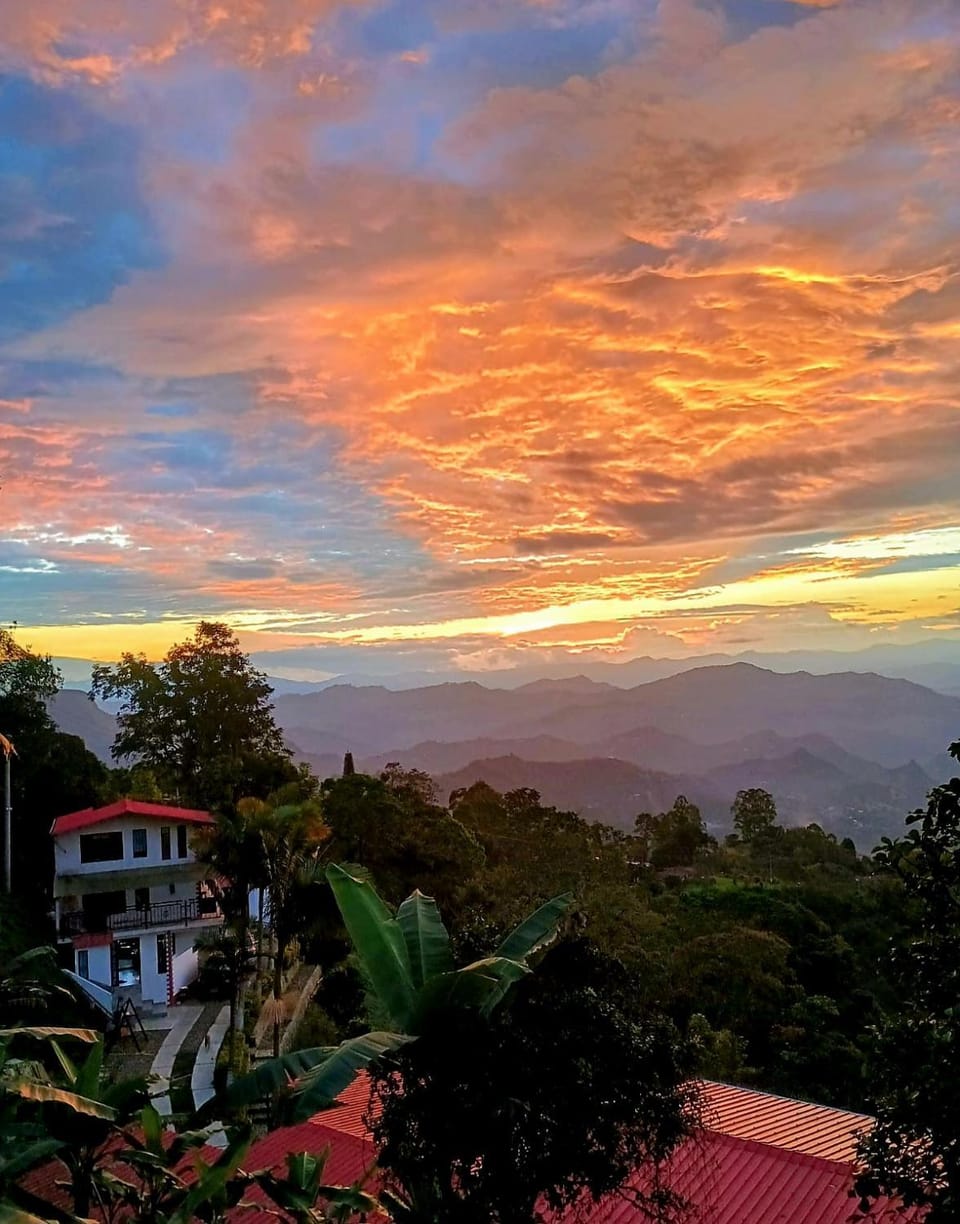 View (from property/room)